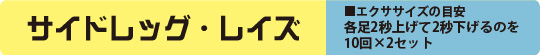 サイドレッグレイズ