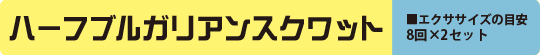 サークルショルダーズ