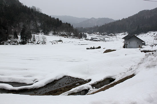 雪に覆われた布施地区