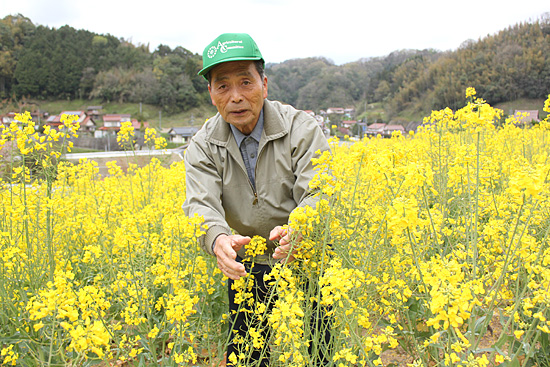 菜の花を育てる陶山直利さん