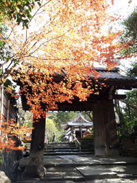 Rumpelstiltskin「January in Kyoto」