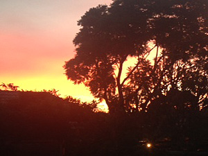 Saori Radcliffe「夕焼けお空を見せたくて」
