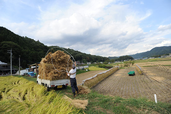 稲刈りを終えた農家から、牛の餌となる稲藁を受け取りに行く