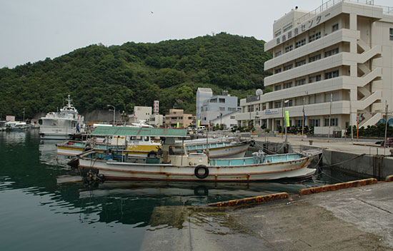 港の周囲が魚島の中心