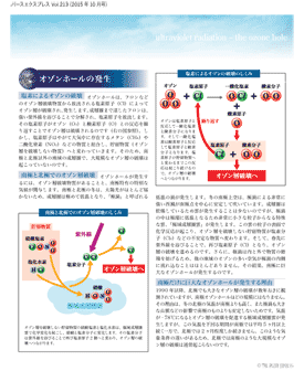 抹茶パフェ・水ようかん