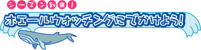 ホエールウォッチングにでかけよう！